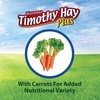 image:imageKaytee All Natural Timothy Hay Plus Carrots for Guinea Pig amp RabbitCarrot