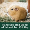 image:imageKaytee All Natural Timothy Hay Plus Carrots for Guinea Pig amp RabbitCranberry