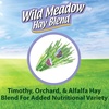 image:imageKaytee All Natural Timothy Hay Plus Carrots for Guinea Pig amp RabbitHay