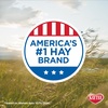 image:imageKaytee All Natural Timothy Hay Plus Carrots for Guinea Pig amp RabbitHay