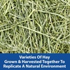 image:imageKaytee All Natural Timothy Hay Plus Carrots for Guinea Pig amp RabbitHay