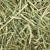 image:imageKaytee All Natural Timothy Hay Plus Carrots for Guinea Pig amp RabbitMint