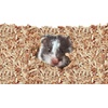 image:imageKaytee Aspen Bedding for Small Animals 197 LiterTan