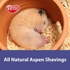 image:imageKaytee Aspen Bedding for Small Animals 197 LiterTan