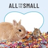 image:imageKaytee Clean amp Cozy Colors Small Animal Bedding with Extreme Odor Control Kaleidoscope 246 LitersKaleidoscope