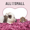 image:imageKaytee Clean amp Cozy Colors Small Animal Bedding with Extreme Odor Control Kaleidoscope 246 LitersPlum