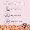 image:imageKaytee Clean amp Cozy Colors Small Animal Bedding with Extreme Odor Control Kaleidoscope 246 LitersSunset