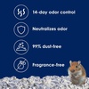 image:imageKaytee Clean amp Cozy Extreme Odor Control Hamster Bedding 40 Liters130 Liters