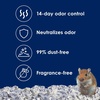 image:imageKaytee Clean amp Cozy Extreme Odor Control Hamster Bedding 40 Liters246 Liters