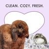 image:imageKaytee Clean amp Cozy Lavender Paper Bedding for Guinea Pigs 492 Liters100 Liters