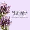 image:imageKaytee Clean amp Cozy Lavender Paper Bedding for Guinea Pigs 492 Liters100 Liters