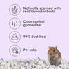 image:imageKaytee Clean amp Cozy Lavender Paper Bedding for Guinea Pigs 492 Liters492 Liters