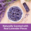 image:imageKaytee Clean amp Cozy Natural Bedding with Lavender 246 Liters492 Liter