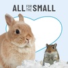 image:imageKaytee Clean amp Cozy Paper Bedding for Small Animals White 100 Liter492 Liters