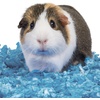 image:imageKaytee Clean amp Cozy Purple Bedding For Guinea Pigs Rabbits Hamsters Gerbils and Chinchillas 246 LiterBlue