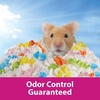 image:imageKaytee Clean amp Cozy Purple Bedding For Guinea Pigs Rabbits Hamsters Gerbils and Chinchillas 246 LiterConfetti