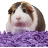 image:imageKaytee Clean amp Cozy Purple Bedding For Guinea Pigs Rabbits Hamsters Gerbils and Chinchillas 246 LiterPurple