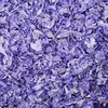 image:imageKaytee Clean amp Cozy Purple Bedding For Guinea Pigs Rabbits Hamsters Gerbils and Chinchillas 246 LiterPurple