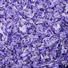 image:imageKaytee Clean amp Cozy Purple Bedding For Guinea Pigs Rabbits Hamsters Gerbils and Chinchillas 246 LiterPurple