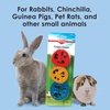 image:imageKaytee Crispy Chews 3pack For Pet Rabbits Chinchillas Guinea Pigs Rats and Other Small Animals001 Ounce Pack of 2