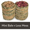 image:imageKaytee FieldForest Mini Hay Bales Apple and Rose 2 Pack 7 OuncesApple and Rose