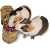 image:imageKaytee FieldForest Mini Hay Bales Apple and Rose 2 Pack 7 OuncesApple and Rose