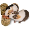 image:imageKaytee FieldForest Mini Hay Bales Apple and Rose 2 Pack 7 OuncesCarrot and Marigold