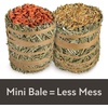 image:imageKaytee FieldForest Mini Hay Bales Apple and Rose 2 Pack 7 OuncesCarrot and Marigold
