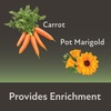 image:imageKaytee FieldForest Mini Hay Bales Apple and Rose 2 Pack 7 OuncesCarrot and Marigold
