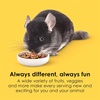 image:imageKaytee Fiesta Chinchilla Food Nutritious Blend 25 Pounds25 Pound Pack of 2