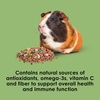 image:imageKaytee Fiesta Guinea Pig Food Nutritious Blend 45 Pounds25 Pound Pack of 1