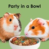 image:imageKaytee Fiesta Guinea Pig Food Nutritious Blend 45 Pounds25 Pound Pack of 1