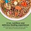 image:imageKaytee Fiesta Guinea Pig Food Nutritious Blend 45 Pounds45 Pound Pack of 1