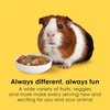 image:imageKaytee Fiesta Guinea Pig Food Nutritious Blend 45 Pounds45 Pound Pack of 1