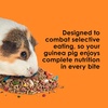 image:imageKaytee Fiesta Guinea Pig Food Nutritious Blend 45 Pounds45 Pound Pack of 1