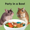 image:imageKaytee Fiesta Hamster amp Gerbil Food Nutritious and Fun Blend Supports Dental Health and Digestion 45 pounds25 Pound Pack of 1
