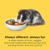 image:imageKaytee Fiesta Hamster amp Gerbil Food Nutritious and Fun Blend Supports Dental Health and Digestion 45 pounds45 Pound Pack of 1
