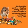 image:imageKaytee Fiesta Hamster amp Gerbil Food Nutritious and Fun Blend Supports Dental Health and Digestion 45 pounds45 Pound Pack of 1