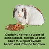 image:imageKaytee Fiesta Rabbit Food Supports Dental Health and Digestion25 Pound Pack of 1