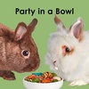 image:imageKaytee Fiesta Rabbit Food Supports Dental Health and Digestion65 Pound Pack of 1