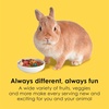 image:imageKaytee Fiesta Rabbit Food Supports Dental Health and Digestion65 Pound Pack of 1
