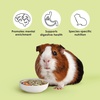 image:imageKaytee Food from the Wild Guinea Pig Food Timothy Hay 4 Pounds4 Pound Pack of 1