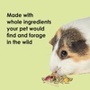 image:imageKaytee Food from the Wild Guinea Pig Food Timothy Hay 4 Pounds4 Pound Pack of 2