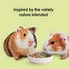 image:imageKaytee Food from the Wild Guinea Pig Food Timothy Hay 4 Pounds4 Pound Pack of 2
