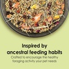 image:imageKaytee Food from the Wild Guinea Pig Food Timothy Hay 4 Pounds4 Pound Pack of 2