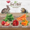 image:imageKaytee Food from the Wild Natural Snack for Rabbits amp Guinea Pigs 1 Oz1 Ounce Pack of 1