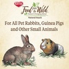 image:imageKaytee Food from the Wild Natural Snack for Rabbits amp Guinea Pigs 1 Oz1 Ounce Pack of 1