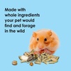 image:imageKaytee Food from the Wild Pet Hamster Food 2 PoundsFlavor Medley