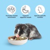image:imageKaytee Food from the Wild Pet Hamster Food 2 PoundsFlavor Medley