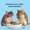 image:imageKaytee Food from the Wild Pet Hamster Food 2 PoundsFlavor Medley